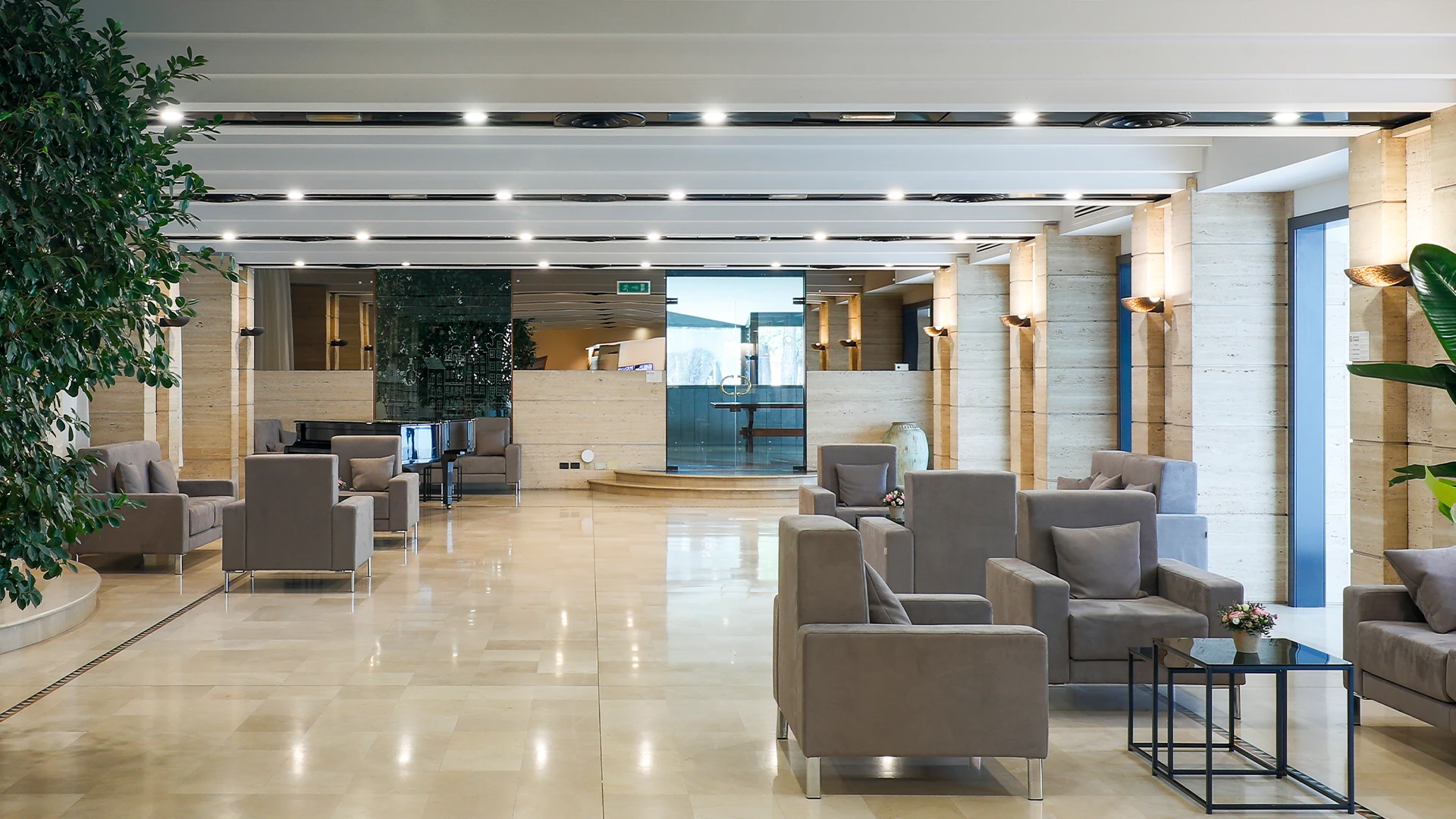 Immagine - 31b83f1c-89a6-40c0-a078-3e0b9041c632